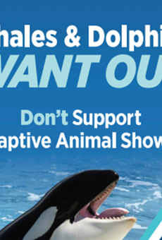 'Whales and dolphins want out,' says new Lake Buena Vista ad campaign aimed at SeaWorld
