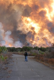 Brush fire in Palm Bay, Florida