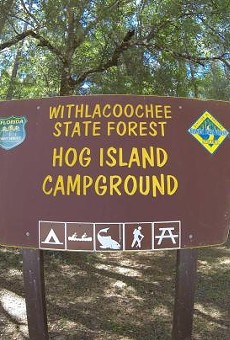 Cash will no longer be accepted at Florida state forests