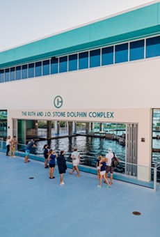 The dolphin complex gives guests views into the dolphin facilities and an elevated view of the aquarium's natural intercoastal surroundings.