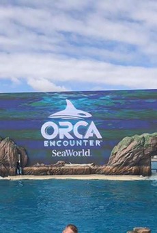 Orca Encounter show at SeaWorld San Diego points to the future of all orcas at SeaWorld