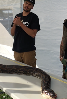 Florida snake hunter catches record-setting 17-foot Burmese python