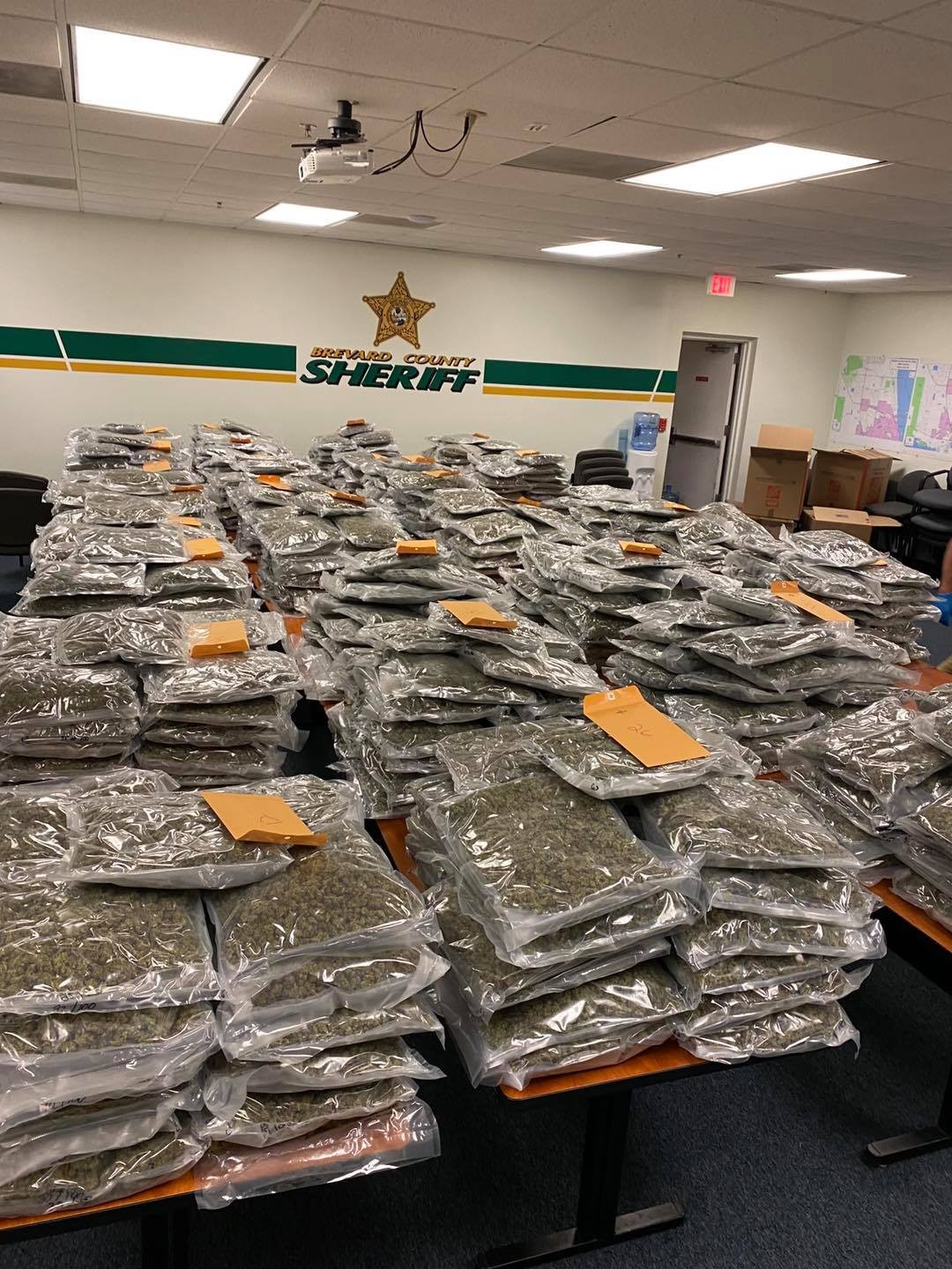 Brevard County Sheriff hoping to reunite forgetful citizen with over 700  pounds of &amp;#39;misplaced&amp;#39; marijuana | Orlando Area News | Orlando | Orlando  Weekly