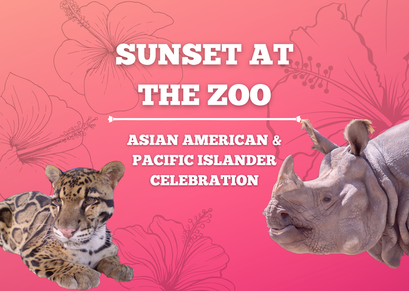 may-sunset-at-the-zoo-2100---1500-px-1.png