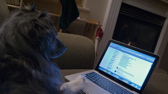 New website matches pets with potential owners based on personality