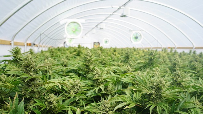 Florida bill could help Black farmers get medical-marijuana licenses after years-long effort