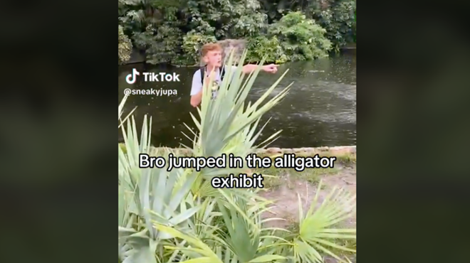 Busch Gardens Tampa Bay says it's working with law enforcement after influencer jumps into alligator exhibit