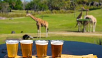 Busch Gardens' new ‘Giraffe Bar’ opens next week, featuring views of the Serengeti plain