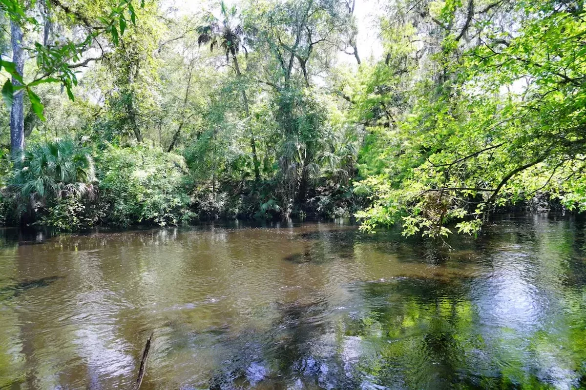 Here’s when and how you can push back on plans to develop Florida State Parks