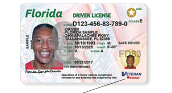 ORLANDO FLORIDA License NEW Plastic