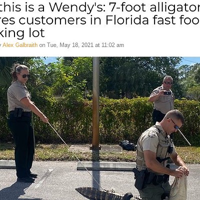 Sir, this is a Wendy's: 7-foot alligator scares customers in Florida fast food parking lot        