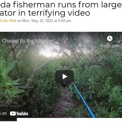 Florida fisherman runs from large alligator in terrifying video        
