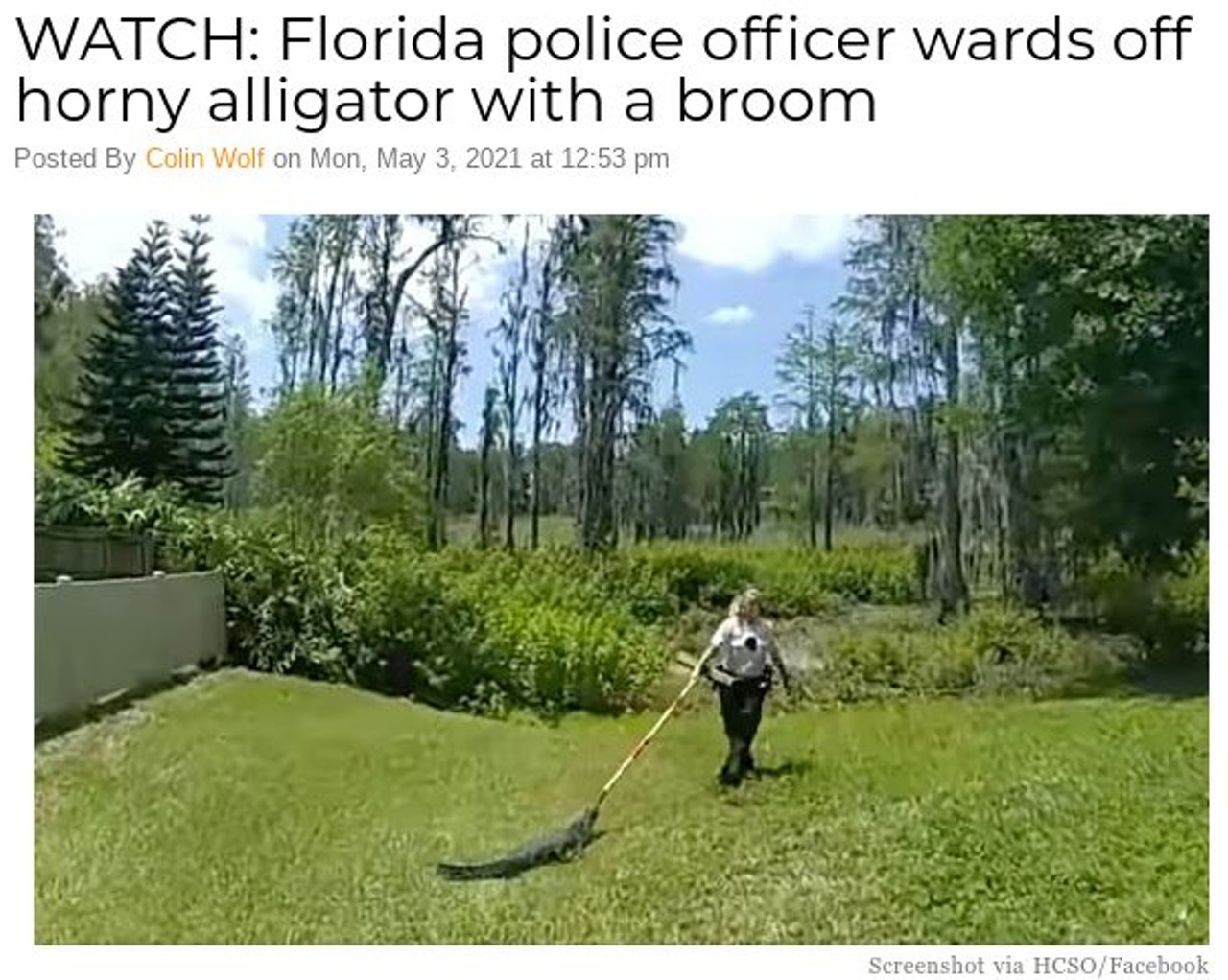 WATCH: Florida police officer wards off horny alligator with a broom
