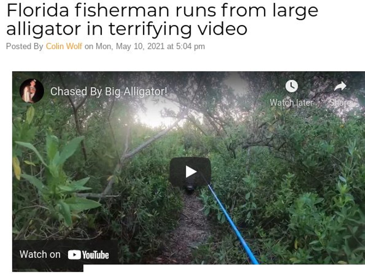 Florida fisherman runs from large alligator in terrifying video
