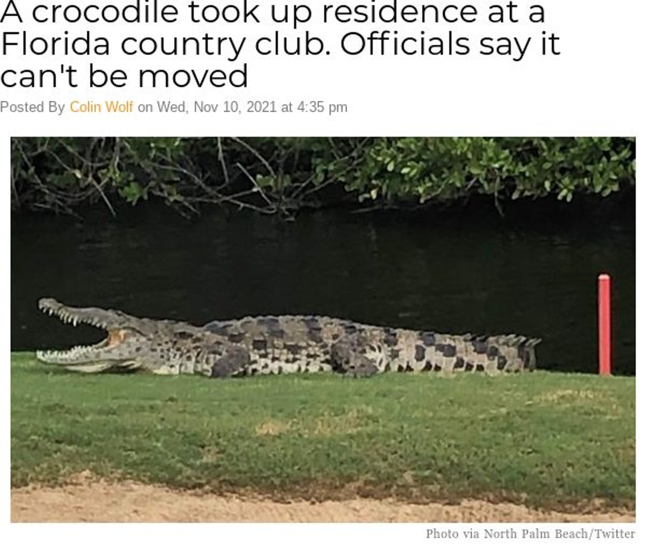 A crocodile took up residence at a Florida country club. Officials say it can't be moved
