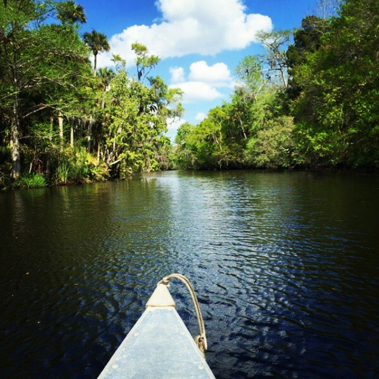  Making canoeing fun by adding beer at Cracker Creek
1795 Taylor Rd, Port Orange, (386) 304-0778
You can rent a canoe or kayak, and paddle through this 20-acre sanctuary. You&#146;ll see forests, swamps, freshwater bogs, cypress marshes, and all sorts of flora and fauna, all with a drink or two to keep you relaxed. Kayak rentals go from $18 an hour and up, and canoes will cost you $24 an hour and up.
Photo via sandordujour/Instagram