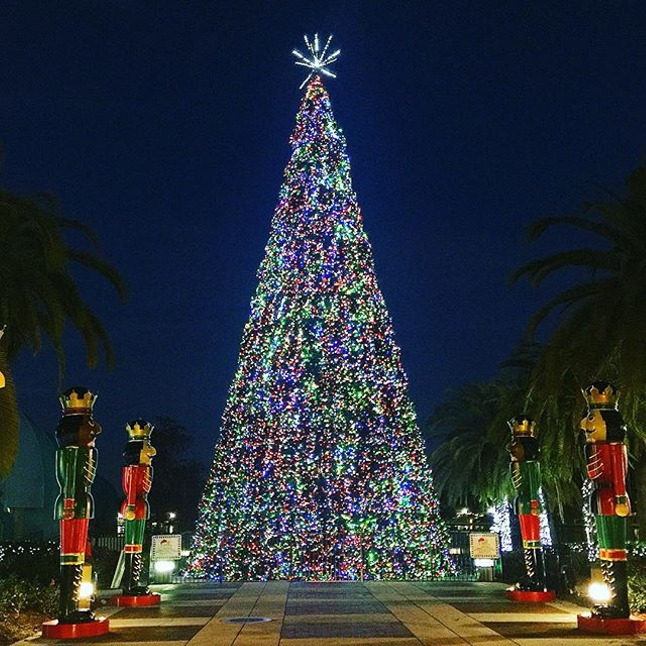 Instagram user aparisianinamerica snapped this greta pic of the Christmas tree at Lake Eola.