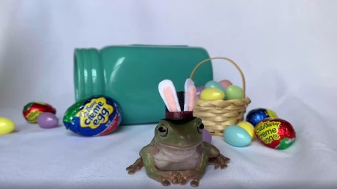 University of Central Florida student's tree frog wins Cadbury Bunny contest