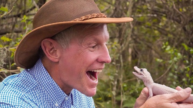 Gatorland president and CEO Mark McHugh welcomed a rare leucistic alligator baby to the wildlife park this week.