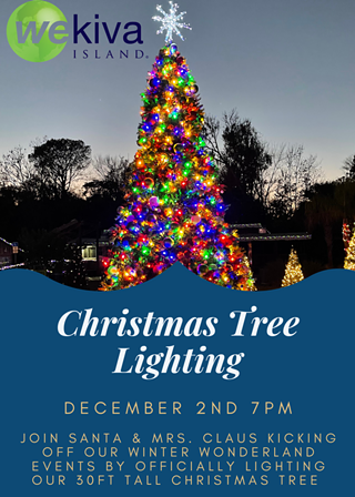 Winter Wonderland Tree Lighting and Toys for Tots Drive