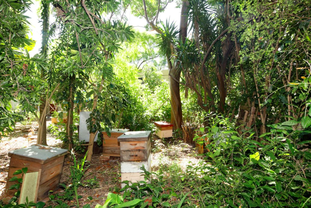 They keep bees (those boxes are beehives)...
image via Airbnb listing